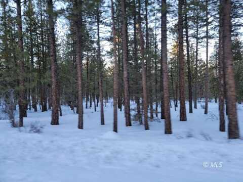 Saddleback, Alturas, CA 96101