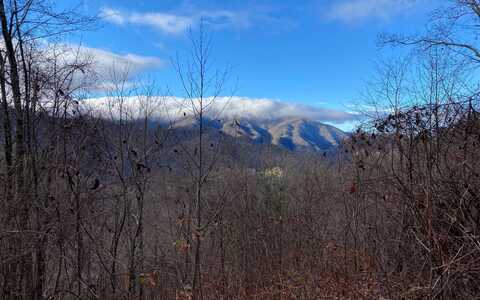 M1,M2 Georgianna Lane, Bryson City, NC 28713