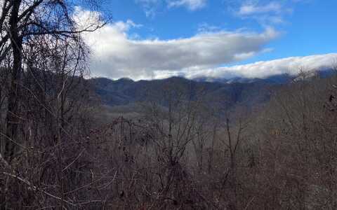 J-3 Georgianna Lane, Bryson City, NC 28713