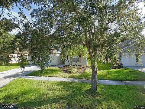 Sparkleberry, TAMPA, FL 33626