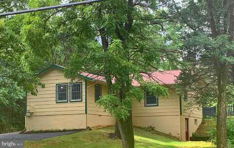 Sugar Maple, FRONT ROYAL, VA 22630