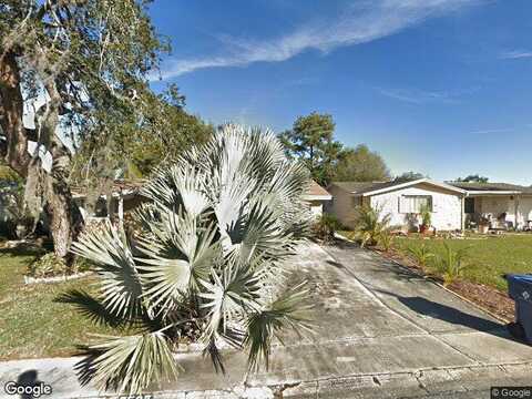 Betula, NEW PORT RICHEY, FL 34653