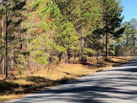 Tract 2 Pine Hollow, Lyons, GA 30436