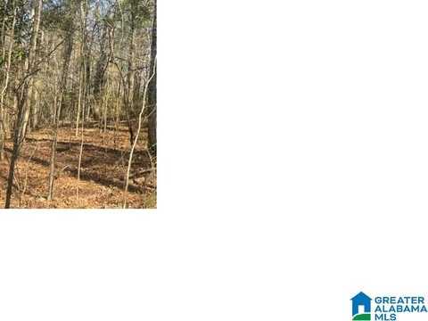 0 UNNAMED ROAD, ALPINE, AL 35014