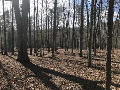 30-b Cosmos Trail, Dunlap, TN 37327