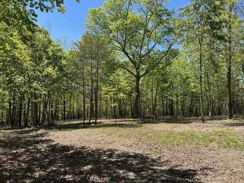 30-b Cosmos Trail, Dunlap, TN 37327