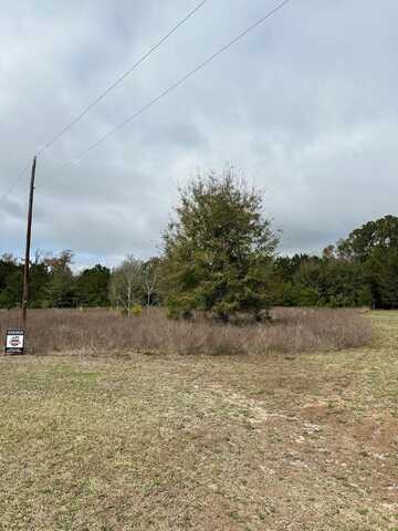 Lot 19 Berry Manor Lane, Edisto Island, SC 29438