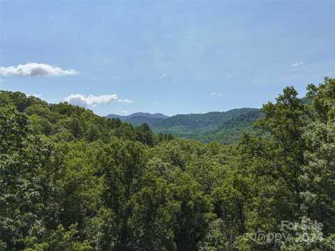 Tbd Ironwood Lane, Black Mountain, NC 28711