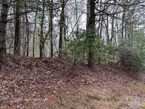 Tbd Dotsuwa Court, Brevard, NC 28712