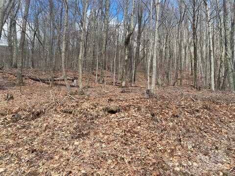 Hamlin Lane, Mars Hill, NC 28754