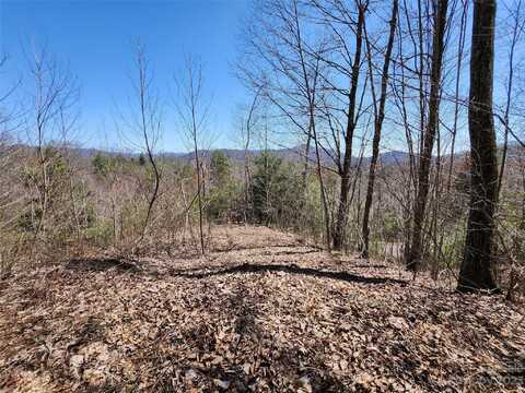 435 Pine Cone Trail, Marshall, NC 28753