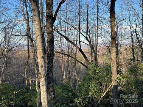 00 Howell Road, Brevard, NC 28712