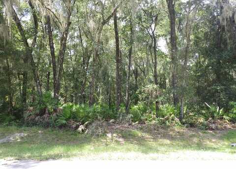 LOT 93 45th Ter, Chiefland, FL 32626