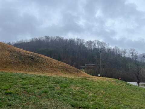 Lot # 12 Paradise Acres, Hagerhill, KY 41222