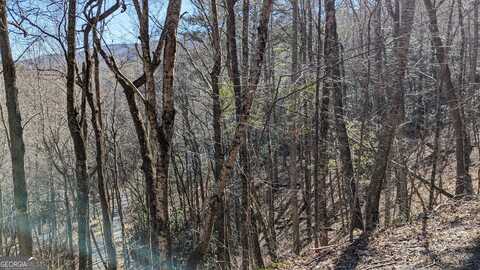 0 Covered Bridge Lane, Sky Valley, GA 30537