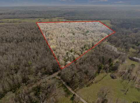 24AC TBD CR 3324, Pittsburg, TX 75686