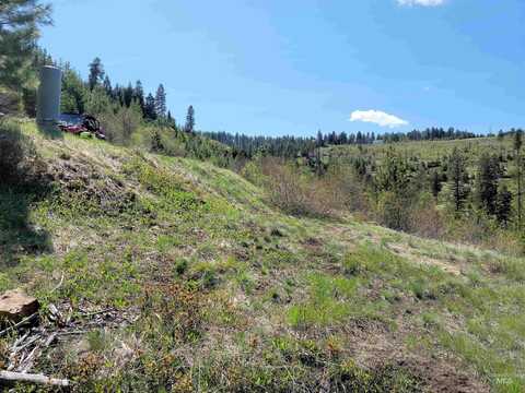 Lot 5 Bakers Pond Addition Ii, Pomeroy, WA 99347