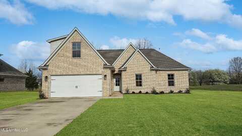 7749 Melisa Drive, Walls, MS 38680