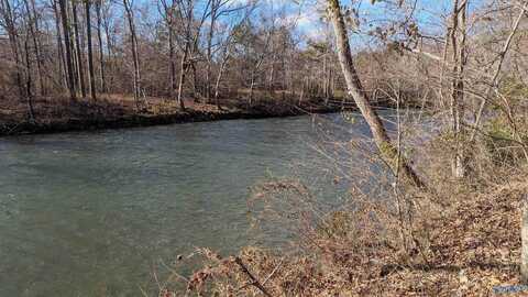 Lot 11 County Road 137, Cedar Bluff, AL 35959