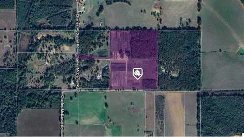 31.24 Acres CHARLES MCDANIEL Road, Kentwood, LA 70444