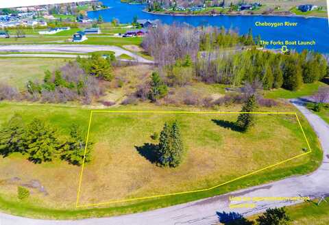 Lot #16 Rivers Ridge Court, Cheboygan, MI 49721