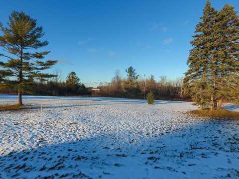 Lot #16 Rivers Ridge Court, Cheboygan, MI 49721