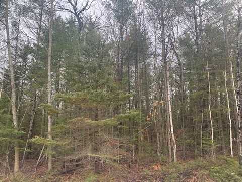 Lot 357 Northland Heights Drive, Presque Isle, MI 49777