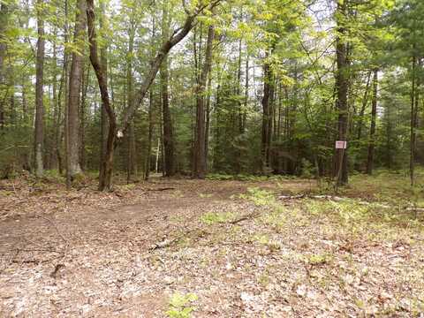 Lot 9 Club Road, Saint Helen, MI 48656