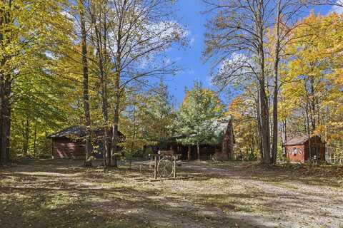 10149 Tittabawassee Trail, Gaylord, MI 49735