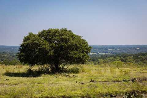 3262 KC 442, Harper, TX 78631