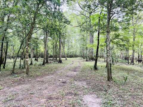 Lot 9 Pine Bluff Road, Dorchester, SC 29437