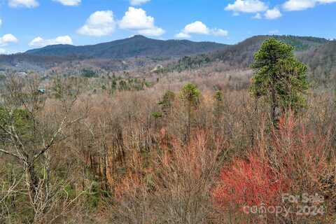 Lot 230 Catawba Falls Parkway, Black Mountain, NC 28711