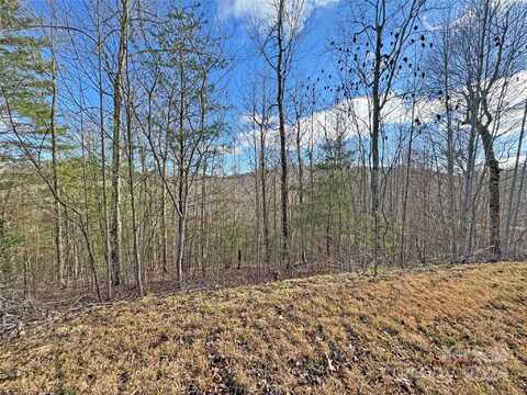 400 Pine Cone Trail, Marshall, NC 28753