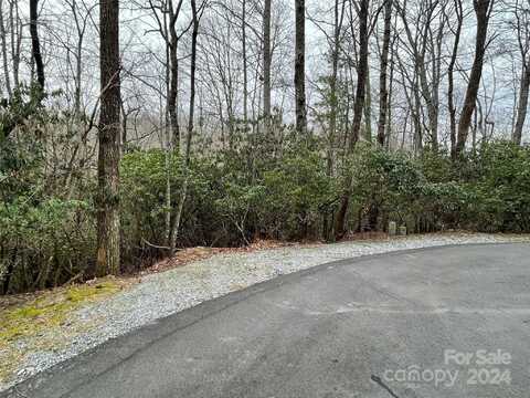 Tbd Elseetos Drive, Brevard, NC 28712