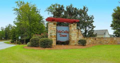 6671 Newbridge Cove, Mc Calla, AL 35022