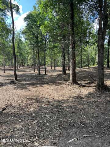 Lot 30/32, Picayune, MS 39466