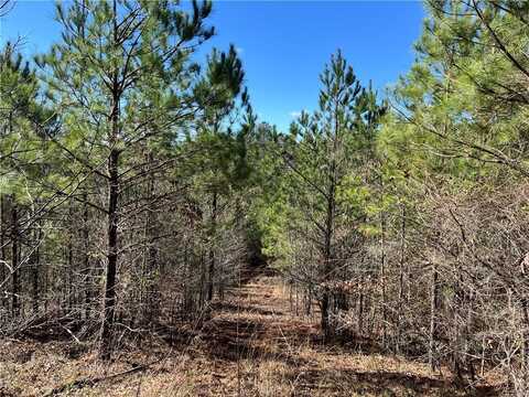 341 Wilderness Camp Road SE, White, GA 30184