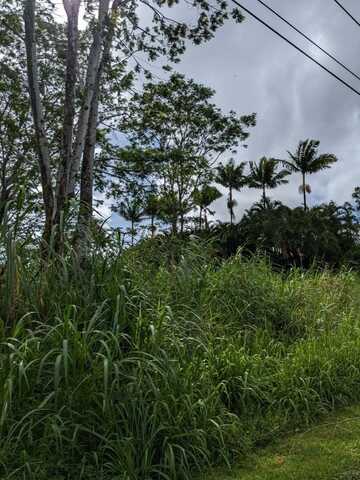 N ALAPAI ST, PAHOA, HI 96778