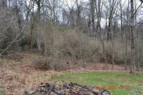 Lot 48 Poplar Street, Jane Lew, WV 26378