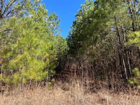 341 Wilderness Camp Road, White, GA 30184