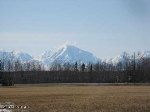 1720 Clearwater Road, Delta Junction, AK 99737