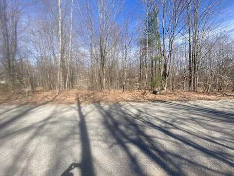 Lot 97 Montrose Drive, Mancelona, MI 49659