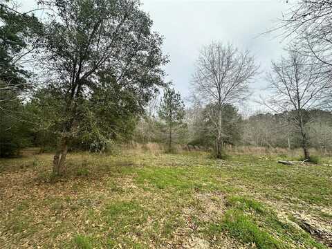 TBD CR 4755, Warren, TX 77664