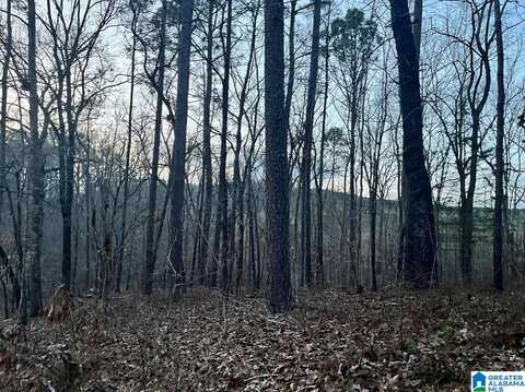 00013 SHADY GROVE ROAD, TALLADEGA, AL 35160