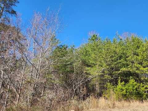 0 Nicole Drive, Dayton, TN 37321