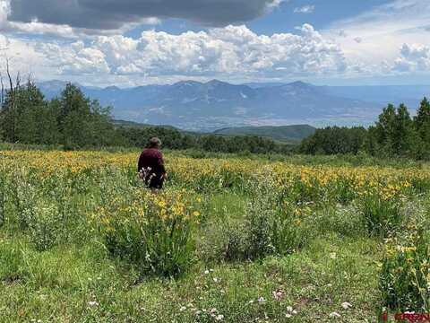 34681 Forest Road 128.G, Hotchkiss, CO 81419