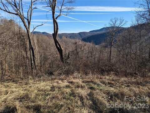 117 Ironwood Lane, Black Mountain, NC 28711