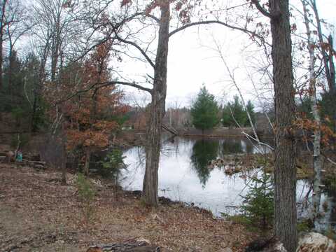 LOT 15 WOOD DUCK TRAIL, Wisconsin Rapids, WI 54494