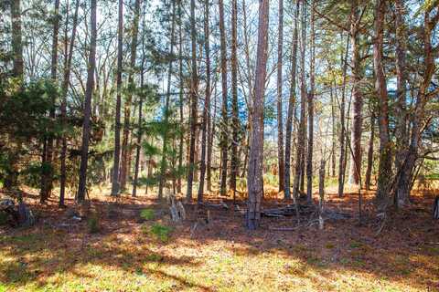 LOT 7 MISTLETOE RD, Appling, GA 30802