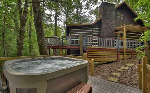 1590 Hidden Lake Drive, Cherry Log, GA 30522